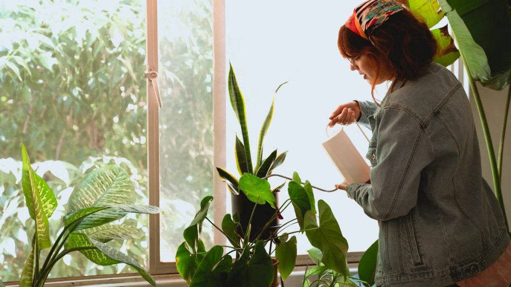 Cómo crear un ambiente saludable en casa